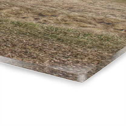 U R There Photography Fargo Road Forgotten Rustic Farmhouse Acrylic Wall Print