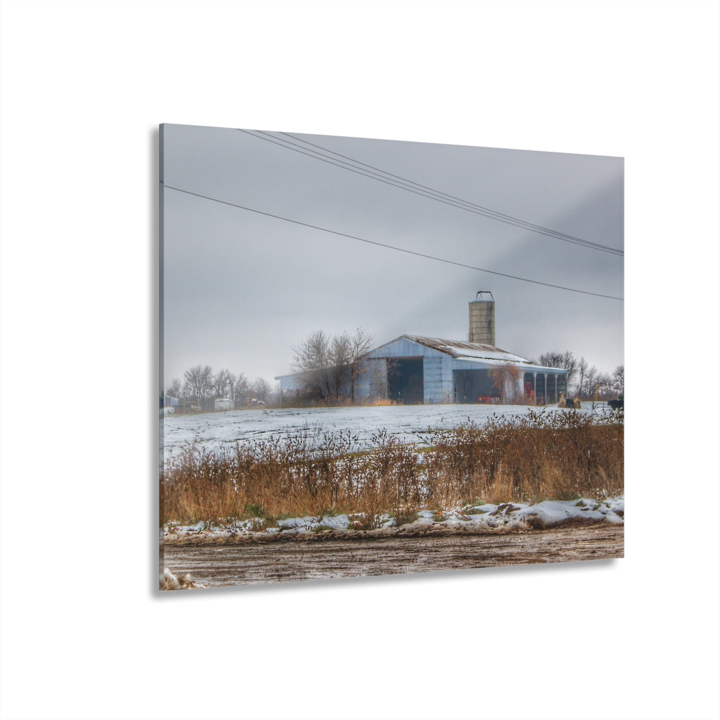 U R There Photography Noble Road Blue Cow Barn Rustic Farmhouse Acrylic Wall Print