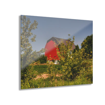 U R There Photography Beyond the Bushes Red Rustic Farmhouse Acrylic Wall Print 14 "x 11"