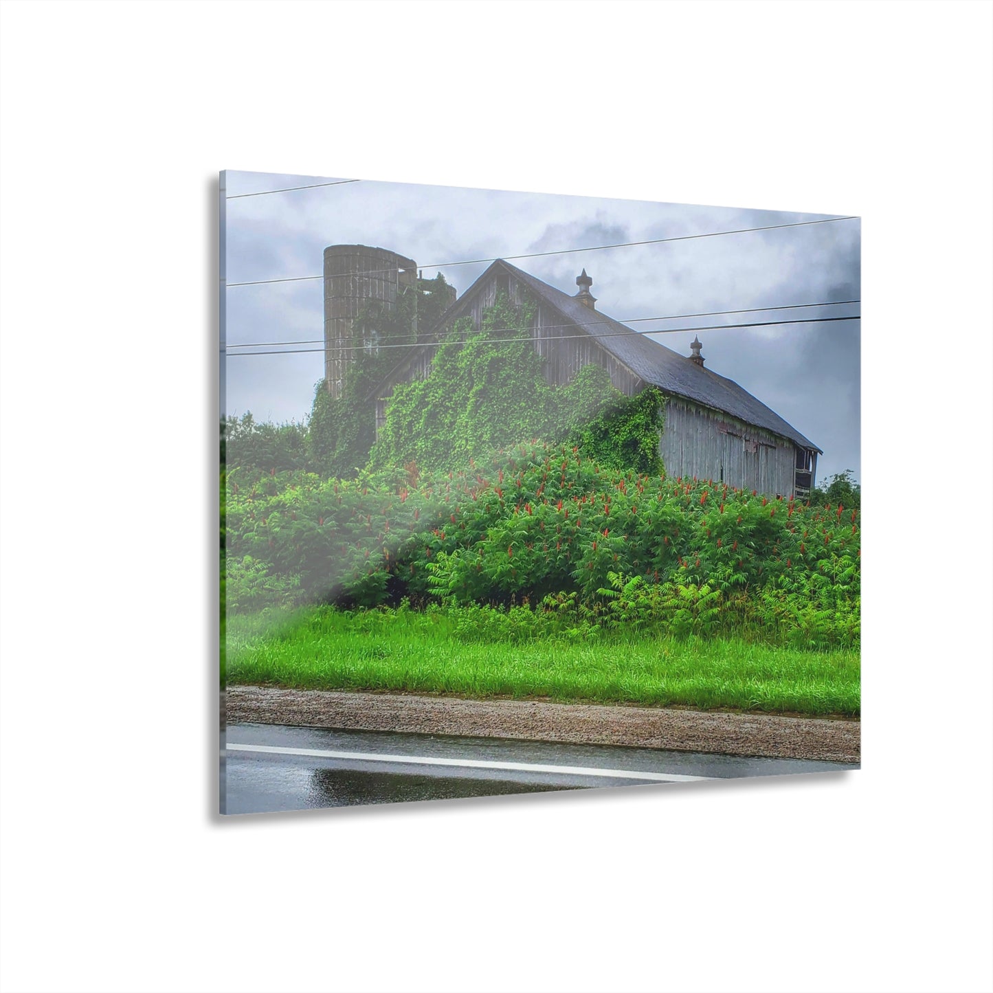 U R There Photography Metamora M-24 Grey IV Rustic Farmhouse Acrylic Wall Print