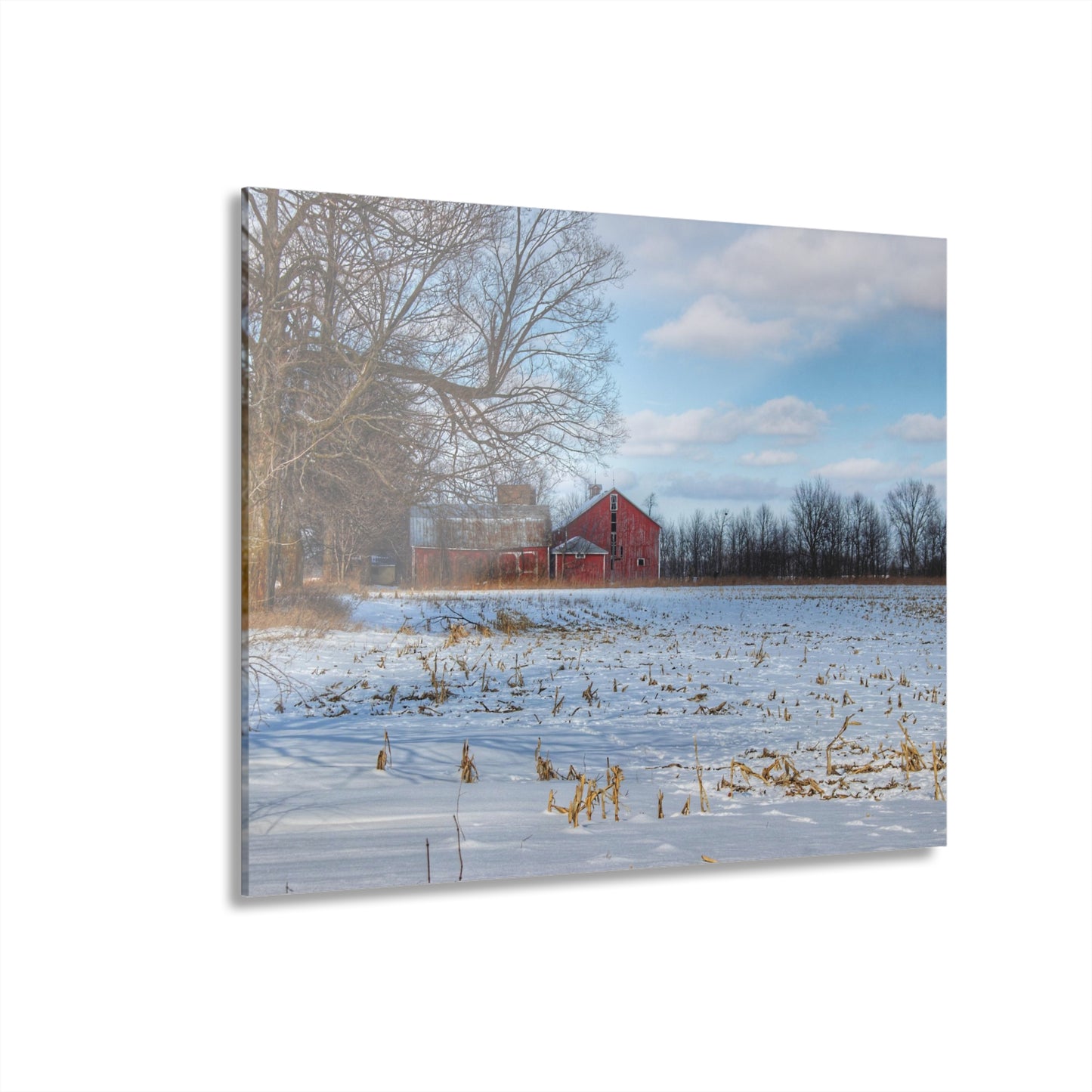 Rustic Farmhouse Wall Print Featuring Across Barnes Roads Frozen Corn Field
