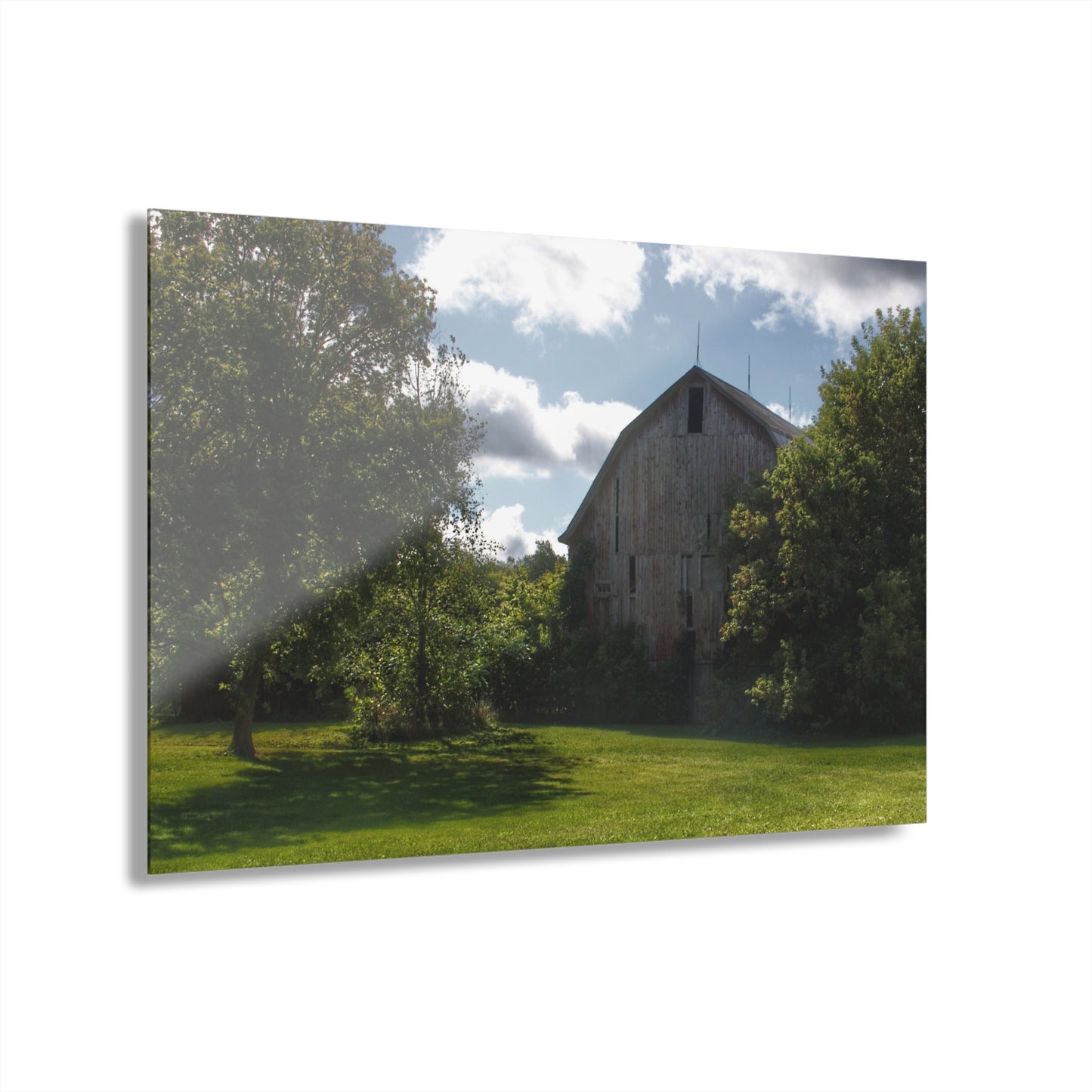 U R There Photography Oakwood Grey Rustic Farmhouse Acrylic Wall Print