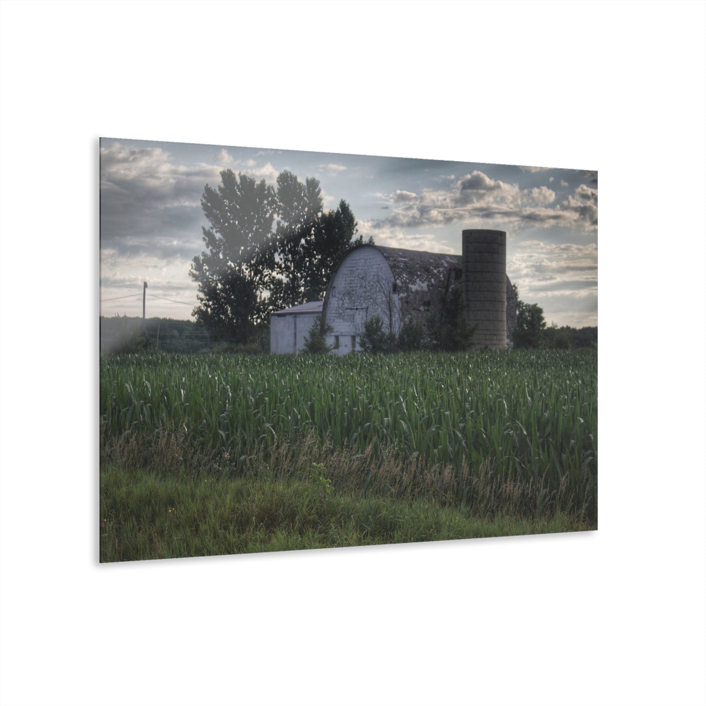 U R There Photography Genesee Road White Rustic Farmhouse Acrylic Wall Print
