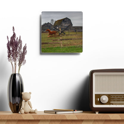 U R There Photography South Summers Road Old Grey and Caramel III Rustic Farmhouse Acrylic Analog Wall Clock