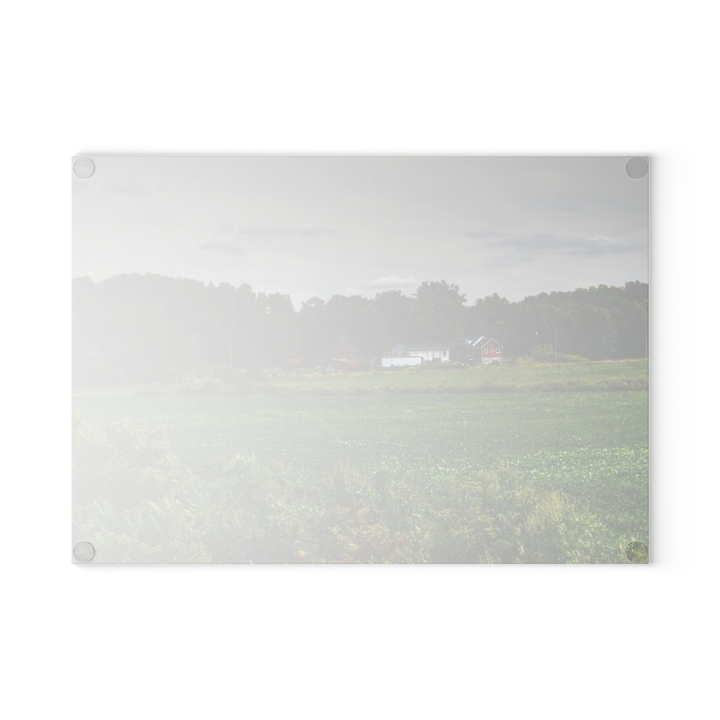U R There Photography Across the Field in Silverwood Rustic Farmhouse Tempered-Glass Cutting Board