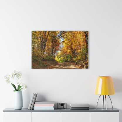 U R There Photography Harson Road in Fall I Rustic Farmhouse Acrylic Wall Print