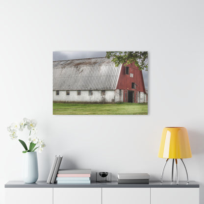 U R There Photography Peters Red Appaloosa III Rustic Farmhouse Acrylic Wall Print