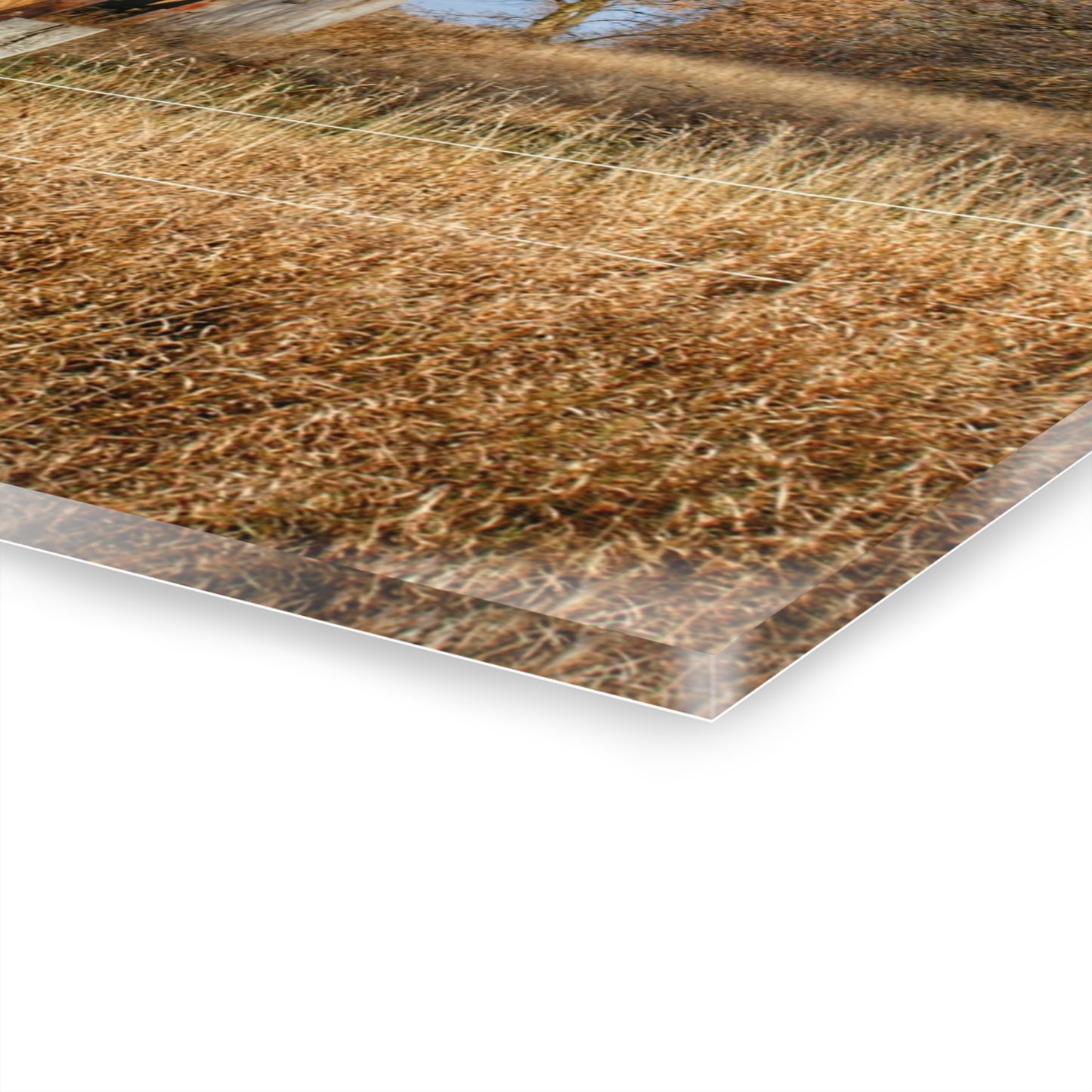 U R There Photography Dodge Road Hay Barn I Rustic Farmhouse Acrylic Wall Print