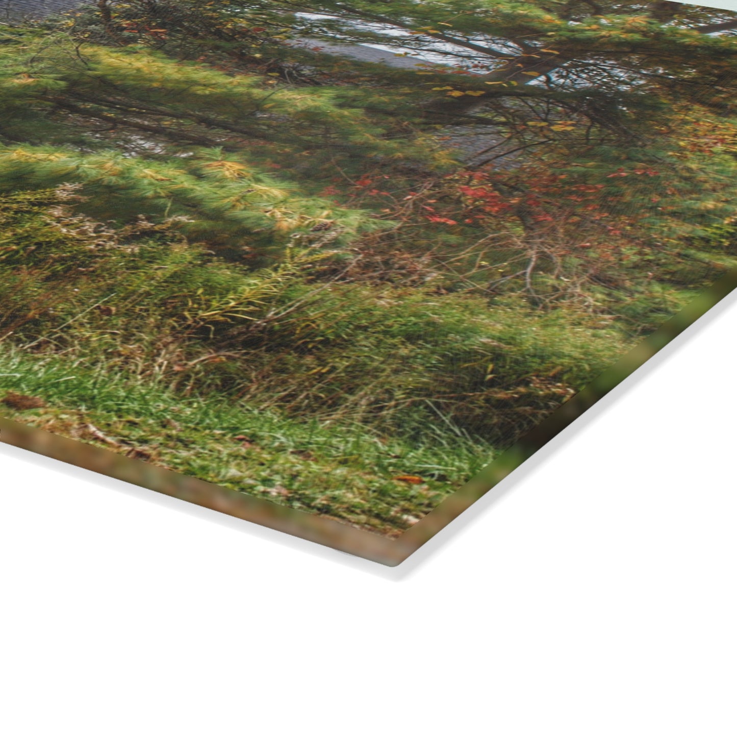 U R There Photography Green Corners Road Hidden Red Rustic Farmhouse Tempered-Glass Cutting Board