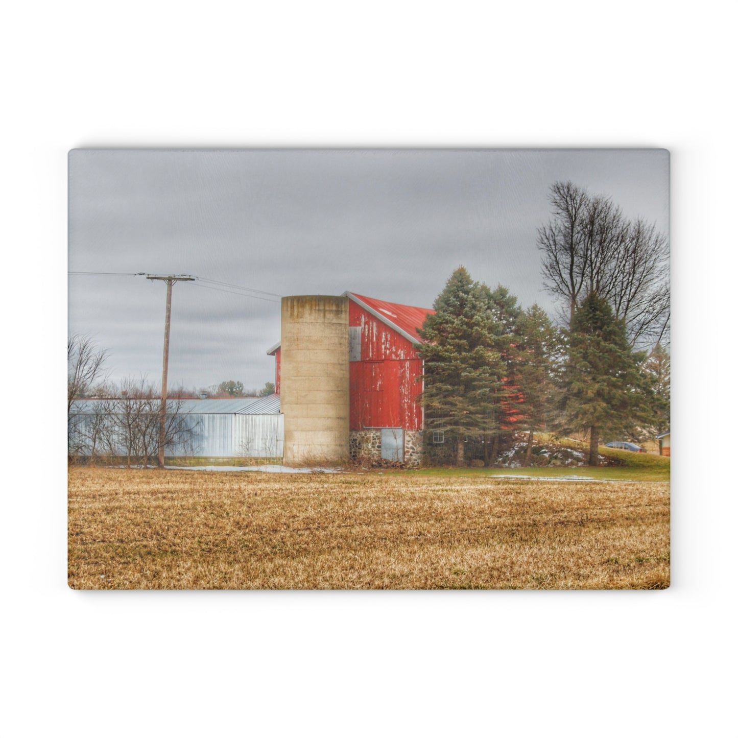 U R There Photography Laur Road Red Among the Pines I Rustic Farmhouse Tempered-Glass Cutting Board