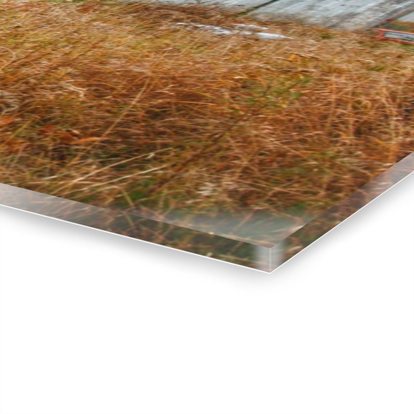 U R There Photography Hill Road Roadside Grey I Rustic Farmhouse Acrylic Wall Print