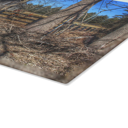 U R There Photography Brewer Road Grey Rustic Farmhouse Tempered-Glass Cutting Board