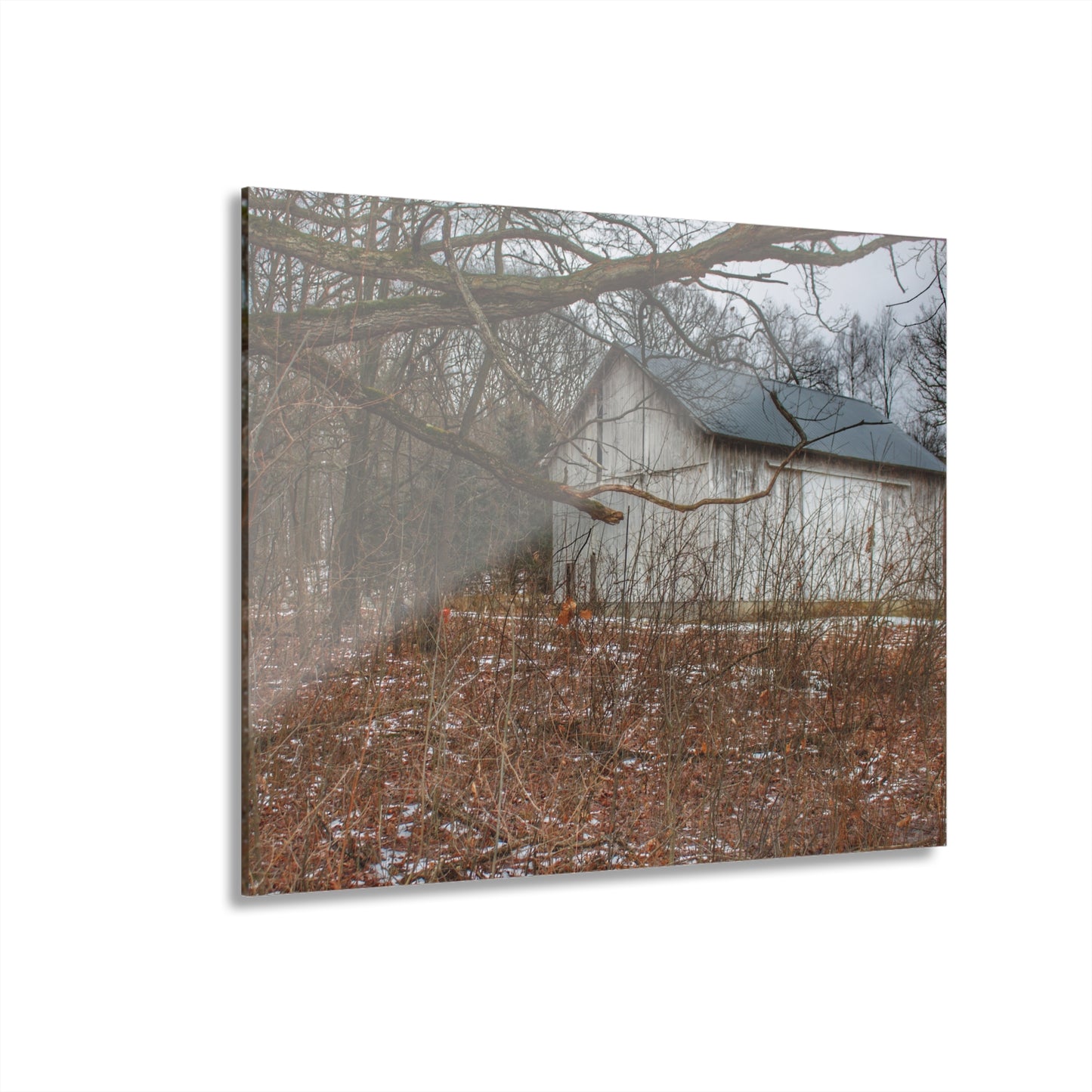 U R There Photography Norway Lake Hidden White Rustic Farmhouse Acrylic Wall Print