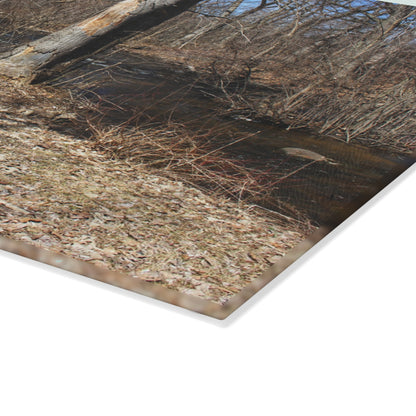 U R There Photography Creekside Seating Rustic Farmhouse Tempered-Glass Cutting Board
