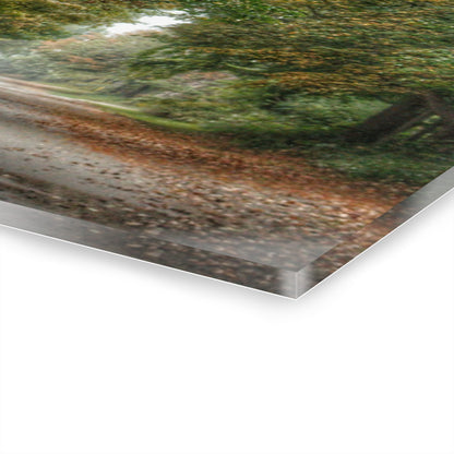 U R There Photography Country Roads in Millington Rustic Farmhouse Acrylic Wall Print