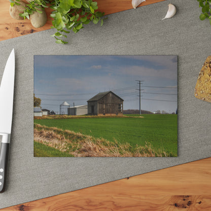 U R There Photography McAlpine Grey Rustic Farmhouse Tempered-Glass Cutting Board