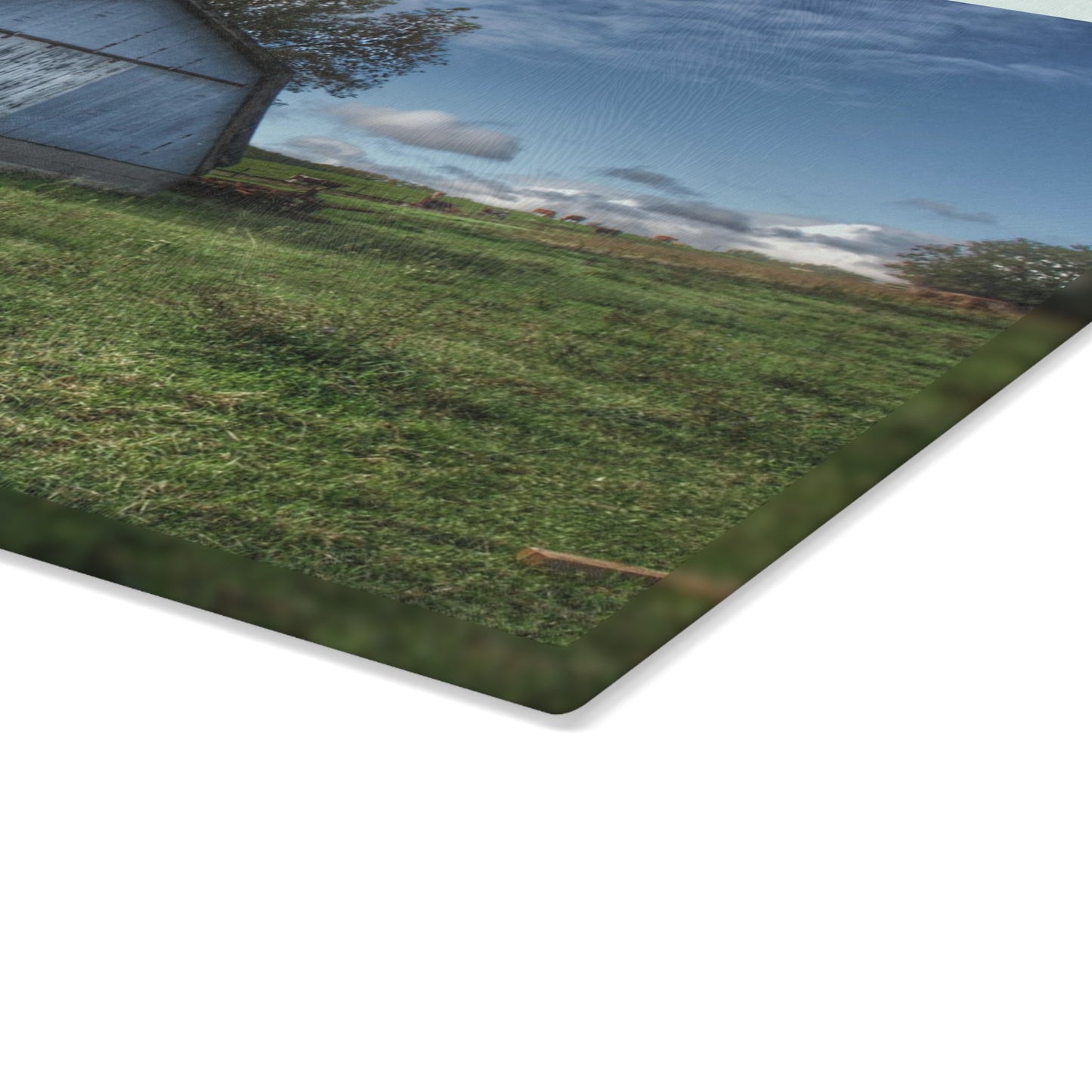 U R There Photography East Frances Quonset and Cows Rustic Farmhouse Tempered-Glass Cutting Board