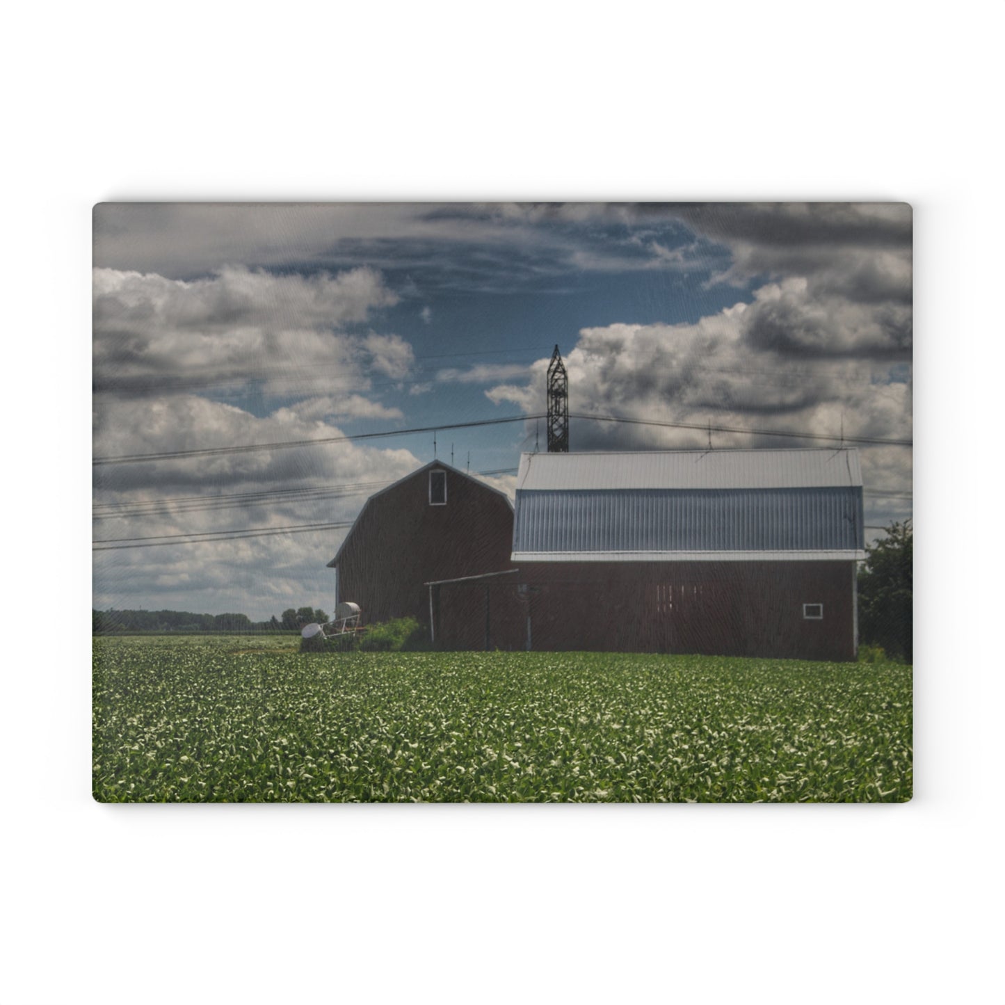 U R There Photography South Reese Road Reds Rustic Farmhouse Tempered-Glass Cutting Board