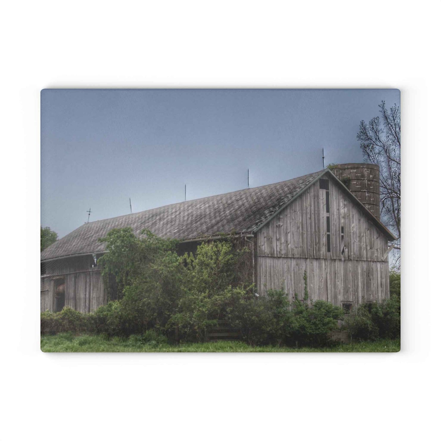 U R There Photography Wilder Road Grey I Rustic Farmhouse Tempered-Glass Cutting Board