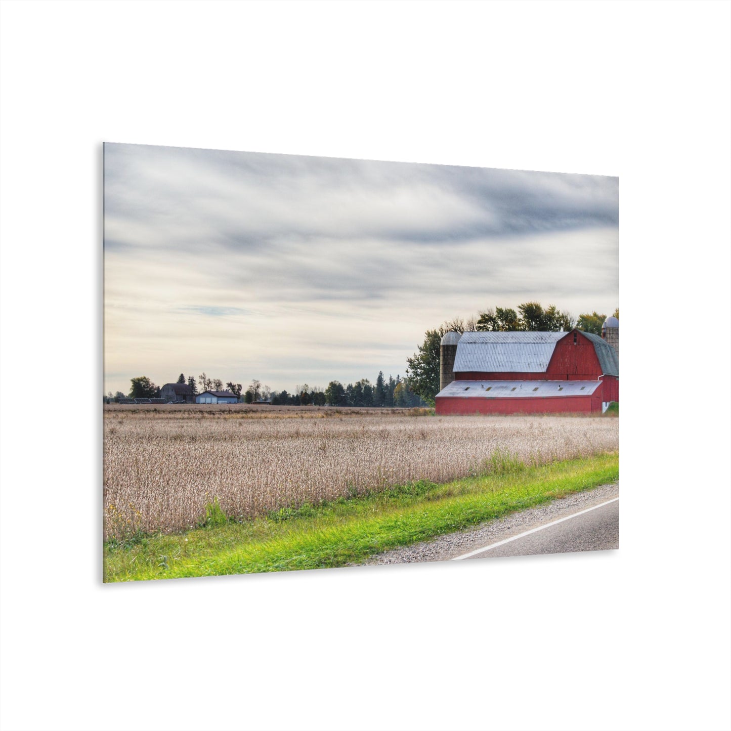U R There Photography Brown City Red II Rustic Farmhouse Acrylic Wall Print