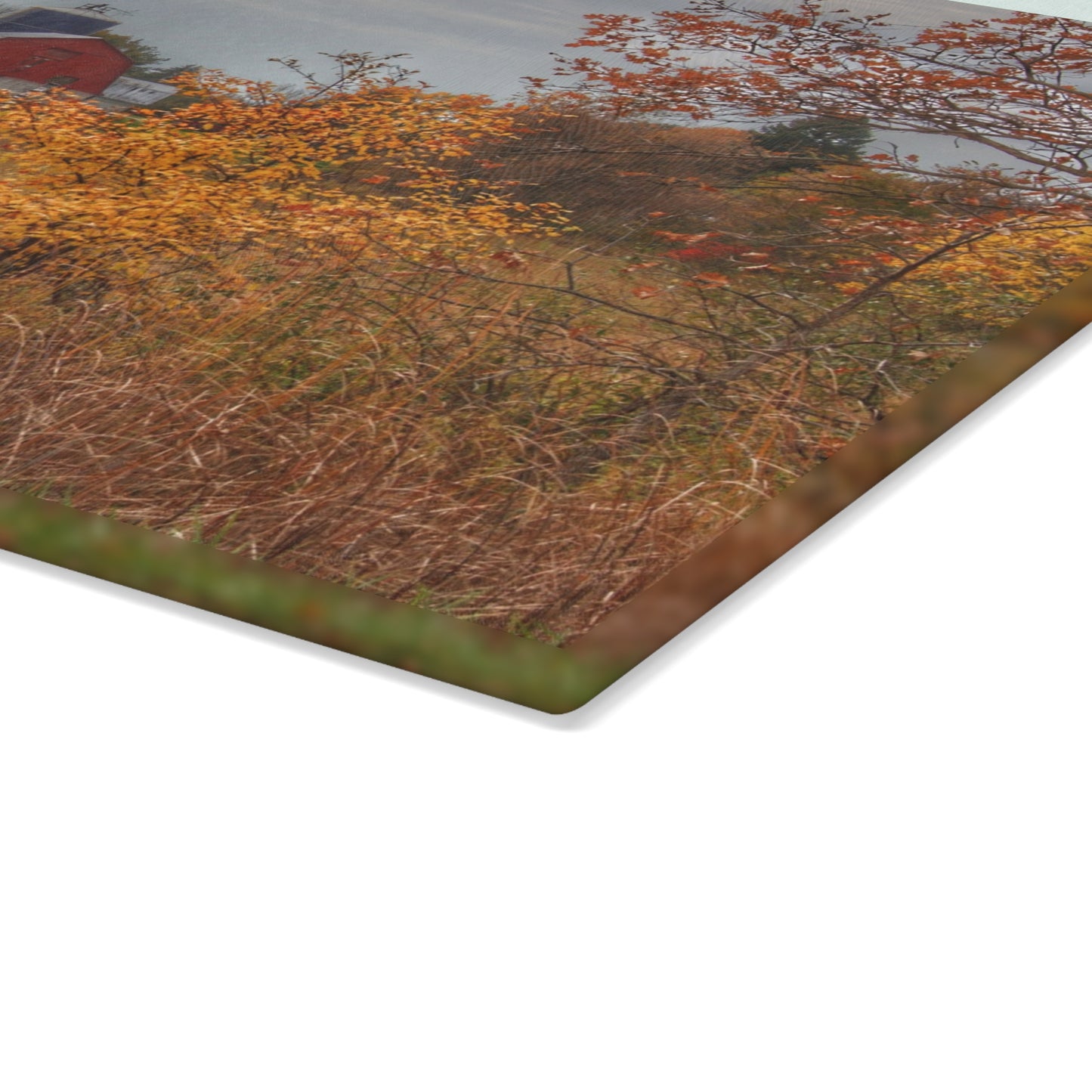U R There Photography Vienna Road Red and Silo Rustic Farmhouse Tempered-Glass Cutting Board