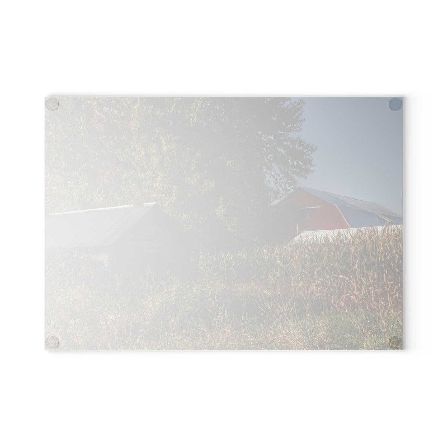U R There Photography Barnes Road Hidden Red and Little Grey Rustic Farmhouse Tempered-Glass Cutting Board