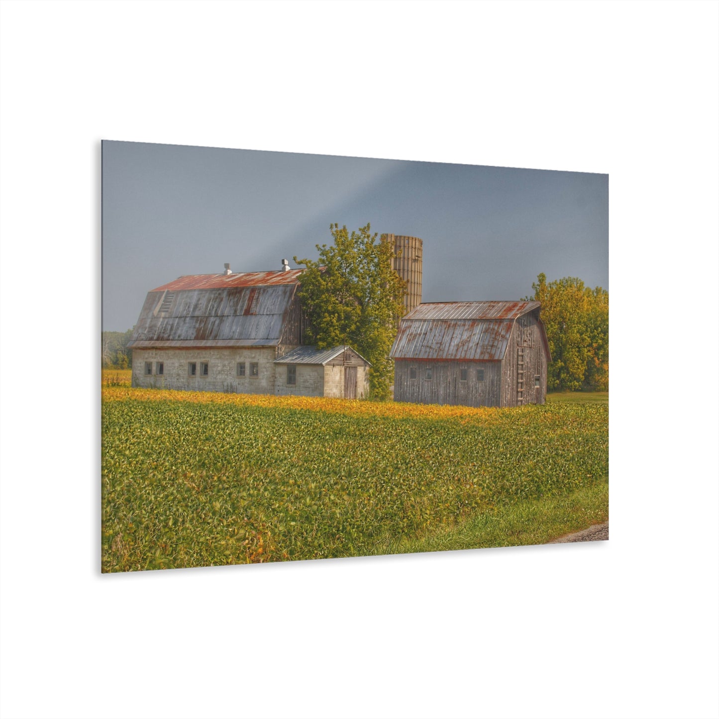 U R There Photography Swaffer Road Duo Rustic Farmhouse Acrylic Wall Print