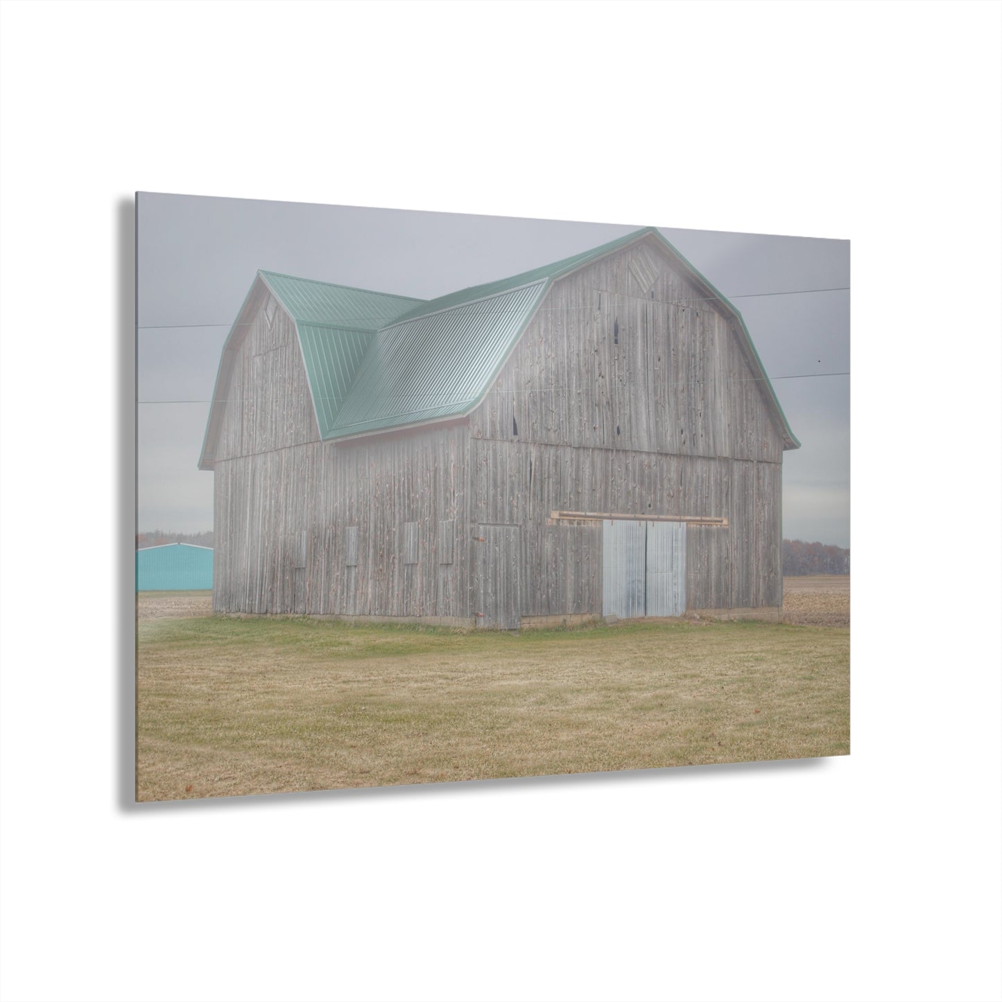 U R There Photography Forest Road Grey Rustic Farmhouse Acrylic Wall Print