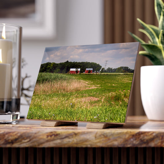 U R There Photography Across the Field in Elba II Rustic Farmhouse Decorative Ceramic Tile