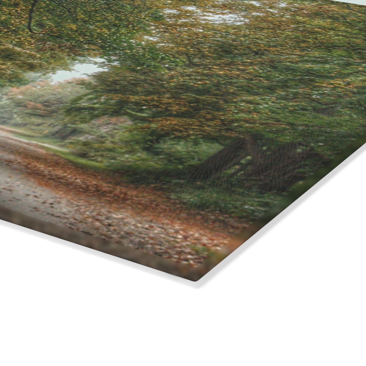 U R There Photography Country Roads in Millington Rustic Farmhouse Tempered-Glass Cutting Board
