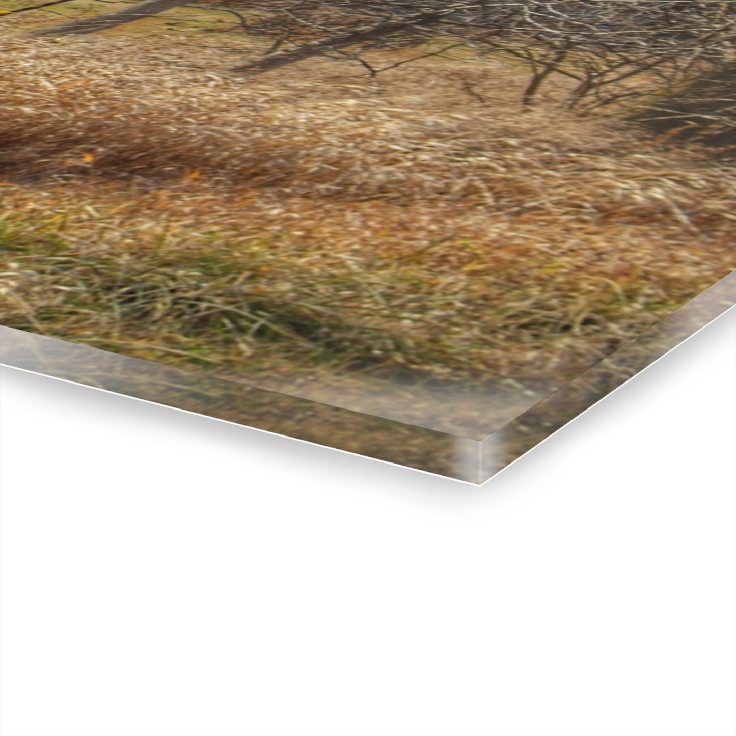 U R There Photography Speaker Road Hidden Grey Rustic Farmhouse Acrylic Wall Print