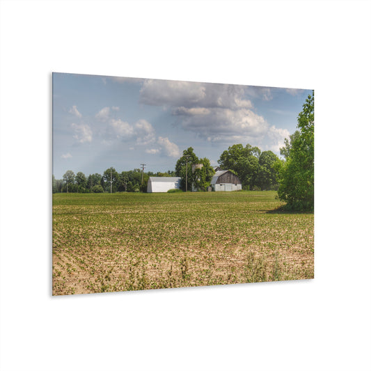 U R There Photography Willard Road White Rustic Farmhouse Acrylic Wall Print