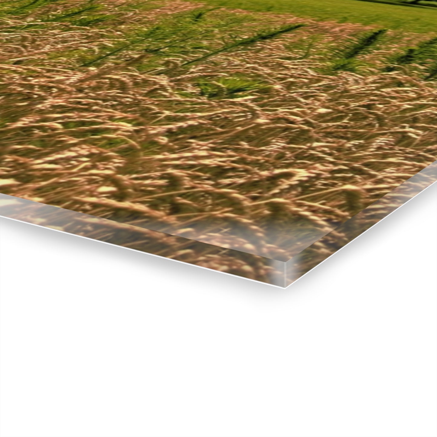 U R There Photography Northern White Rustic Farmhouse Acrylic Wall Print