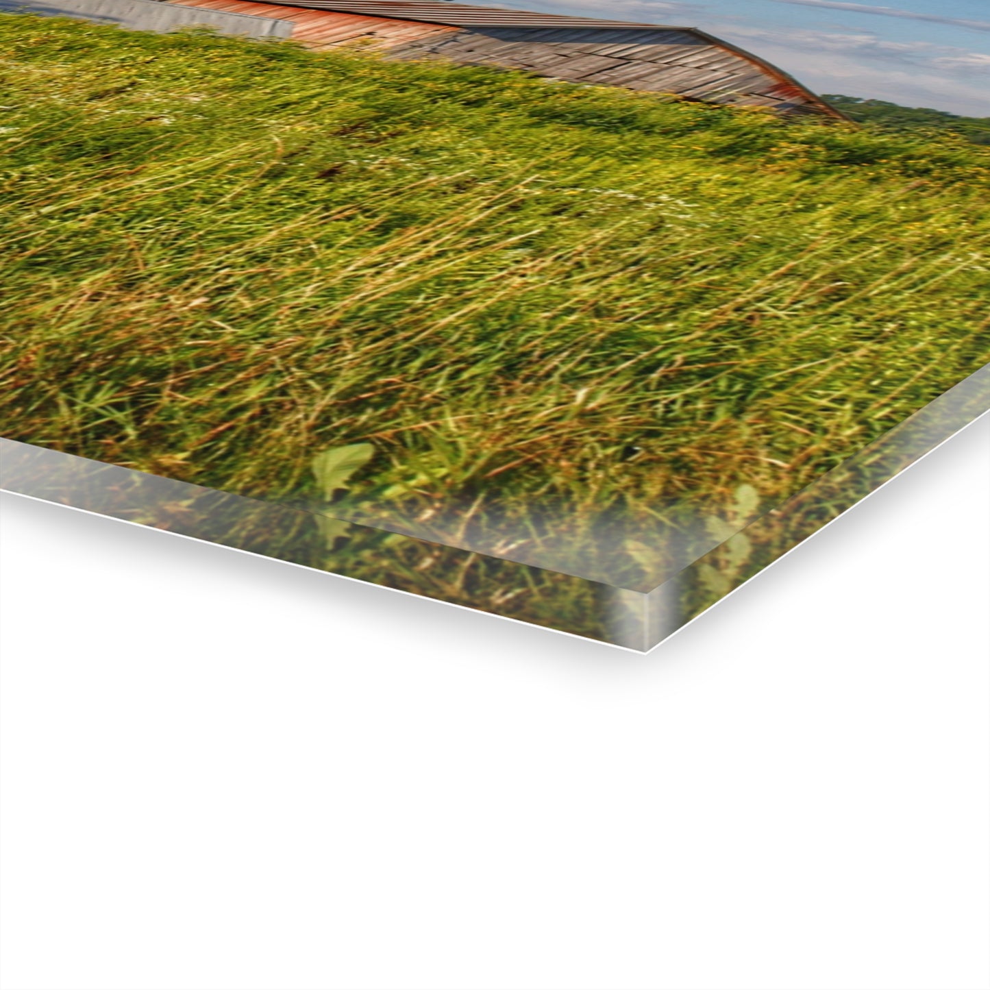 U R There Photography Morrish Road Silos II Rustic Farmhouse Acrylic Wall Print