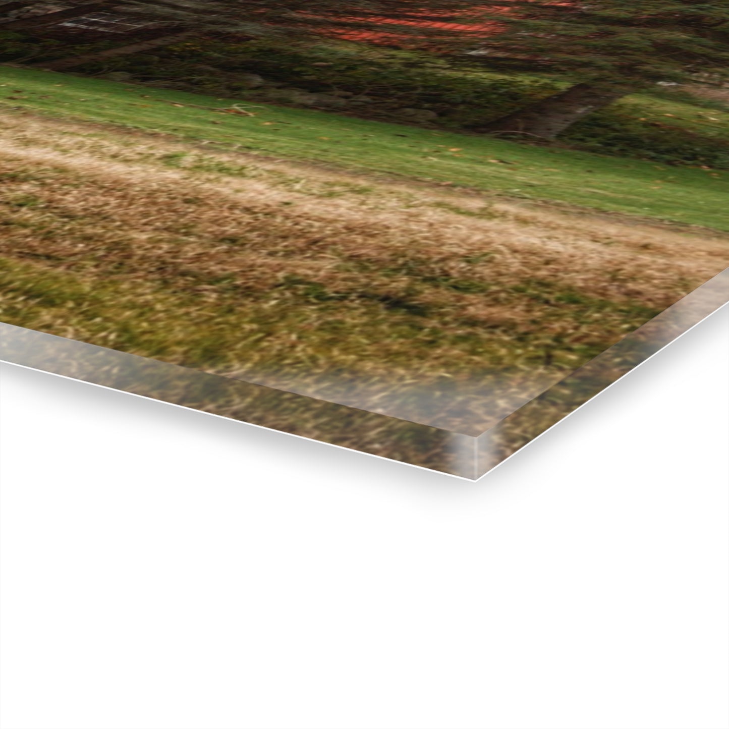 U R There Photography Laur Road Red Among the Pines II Rustic Farmhouse Acrylic Wall Print