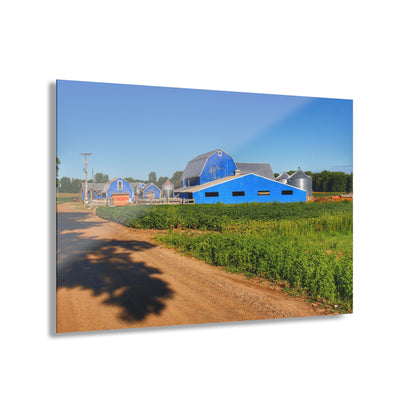 U R There Photography Kidder Road Blues I Rustic Farmhouse Acrylic Wall Print