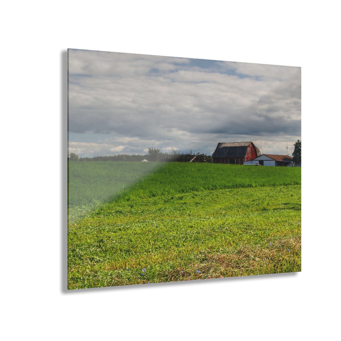 U R There Photography Across the Field in Kingston Rustic Farmhouse Acrylic Wall Print