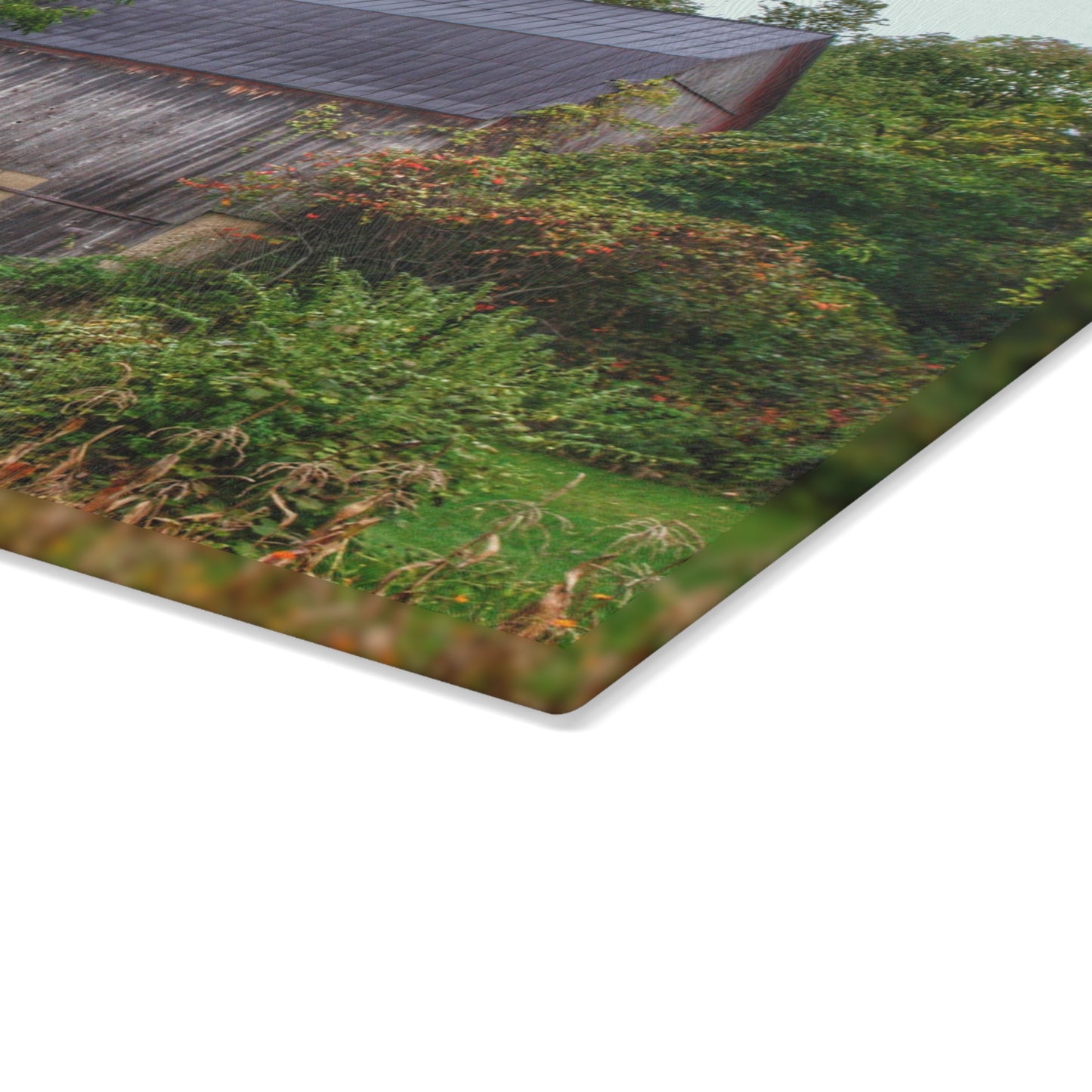 U R There Photography North Lake Road Hidden Grey Rustic Farmhouse Tempered-Glass Cutting Board