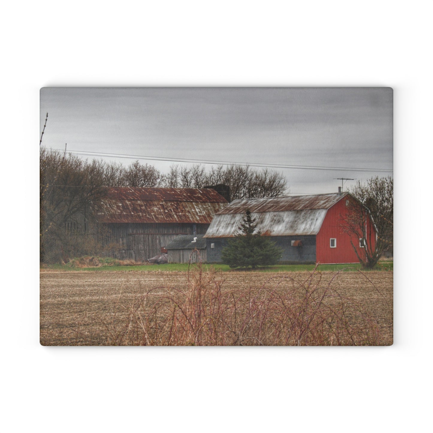 U R There Photography South Summers Road Rusted Grey and Little Red Rustic Farmhouse Tempered-Glass Cutting Board