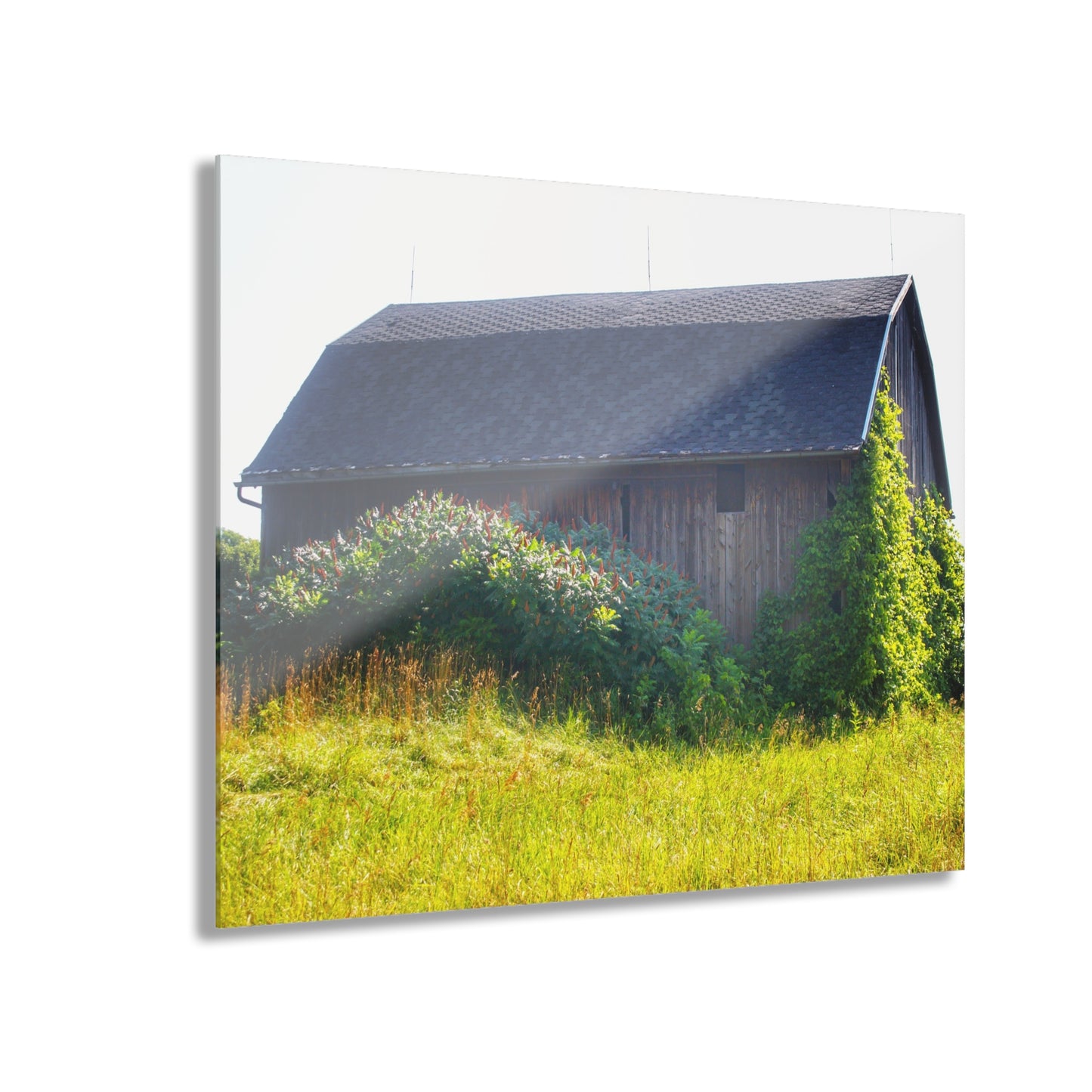 U R There Photography North Lake Pleasant Road Old Grey Rustic Farmhouse Acrylic Wall Print