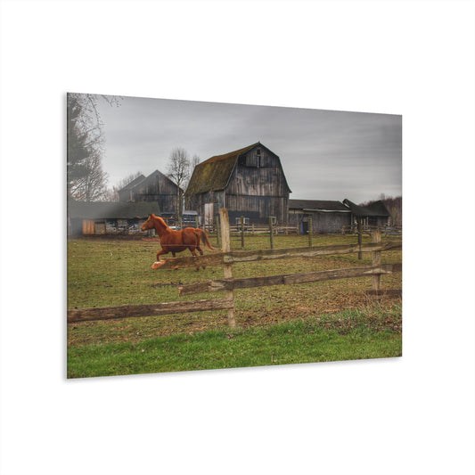 U R There Photography South Summers Road Old Grey and Caramel III Rustic Farmhouse Acrylic Wall Print