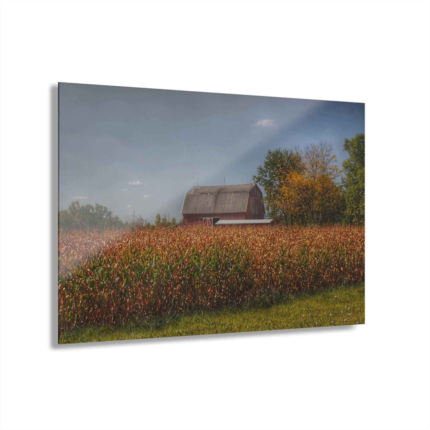 U R There Photography Clifford Road Red III Rustic Farmhouse Acrylic Wall Print