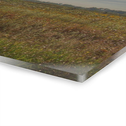 U R There Photography Mushroom Road Red II Rustic Farmhouse Acrylic Wall Print