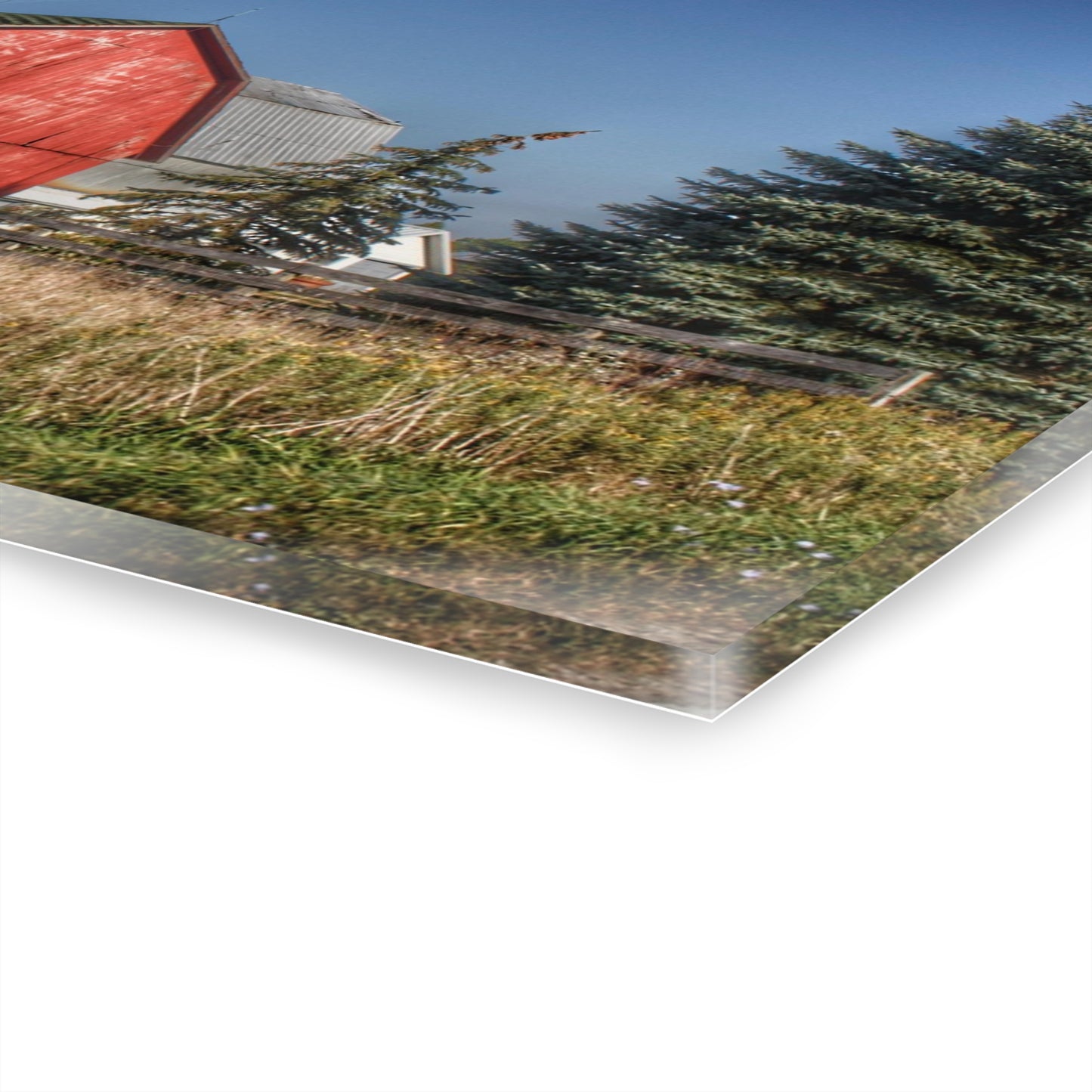 U R There Photography Elmwood Road Red III Rustic Farmhouse Acrylic Wall Print