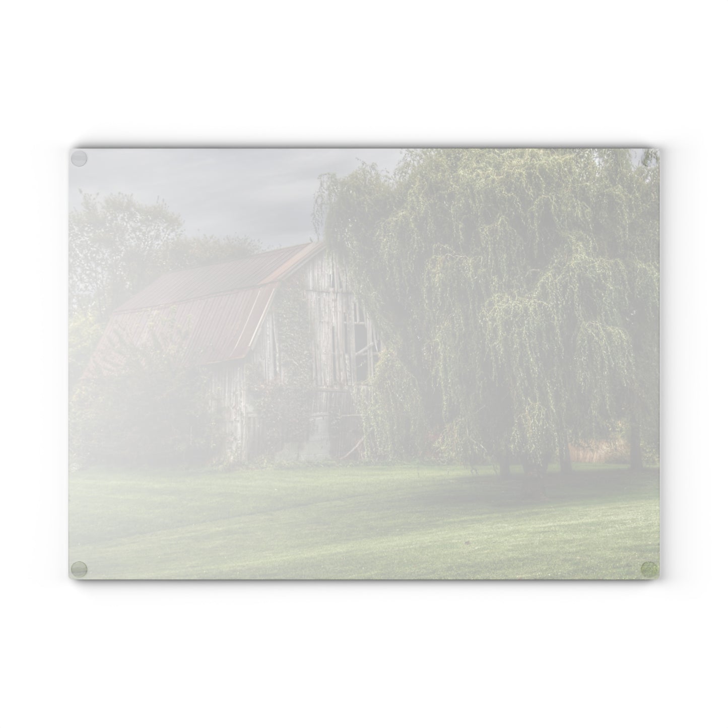 U R There Photography McDowell Road Grey Rustic Farmhouse Tempered-Glass Cutting Board