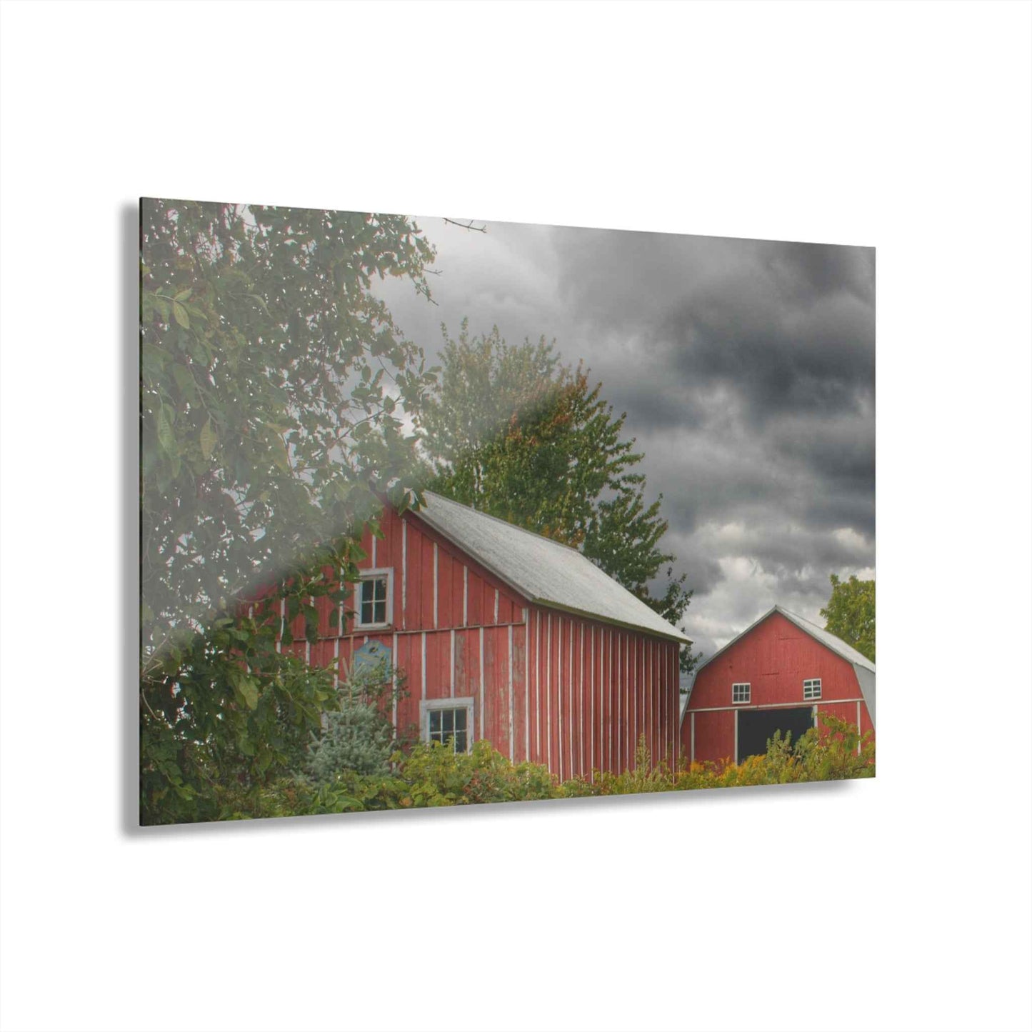U R There Photography Pinstripe Barn and Buddy I Rustic Farmhouse Acrylic Wall Print