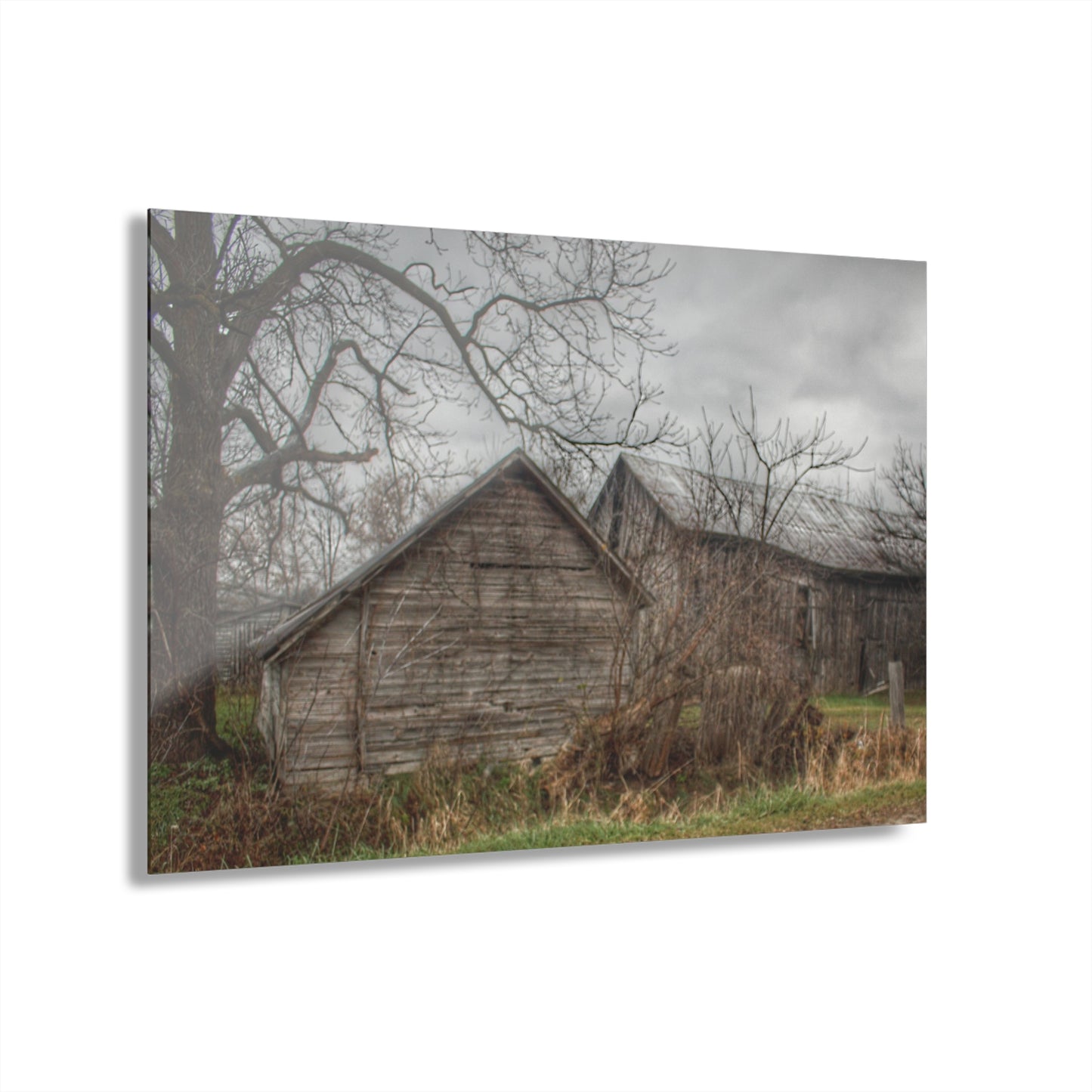 U R There Photography Bowers Road Greys II Rustic Farmhouse Acrylic Wall Print