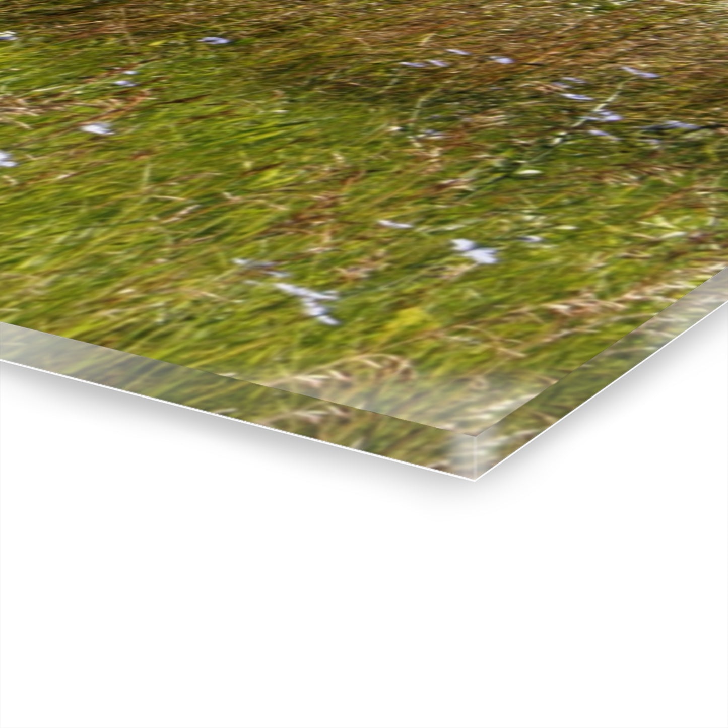 U R There Photography North Lake Pleasant Little Red I Rustic Farmhouse Acrylic Wall Print