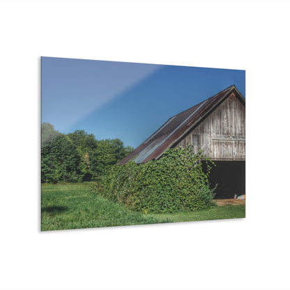 U R There Photography Grey Shack of Millington Rustic Farmhouse Acrylic Wall Print