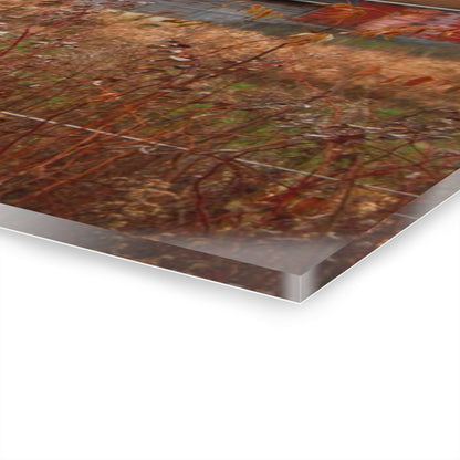 U R There Photography Field Grey and Little Red Rustic Farmhouse Acrylic Wall Print